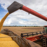 Soja começa a semana com preços em alta