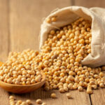 Soja tem oscilações no Paraná; preço do trigo avança no estado