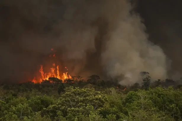 Brasil registra mais de 34 mil queimadas em 2025