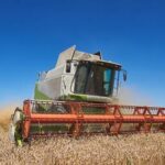 Brasil terá safra recorde de 340,5 milhões de toneladas em 2025