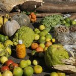 Prazo para adesão ao PAA termina em 19 de janeiro para municípios do Norte e Nordeste