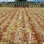 TCU deve investigar venda casada em financiamentos a produtores rurais