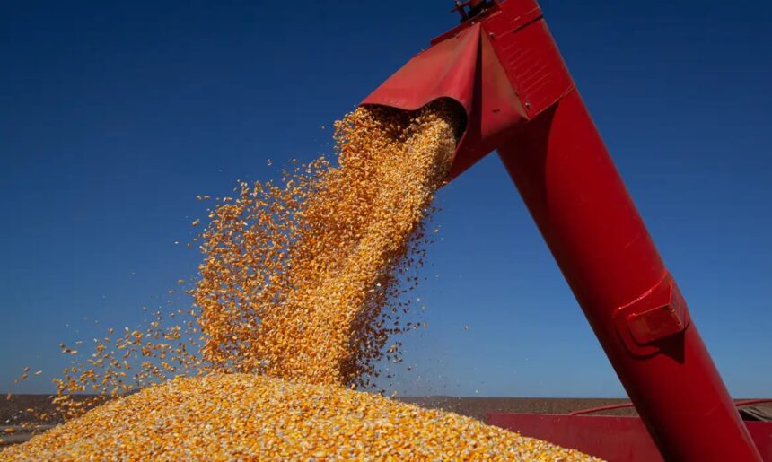 Chuvas intensas em Minas Gerais e Goiás atrasam plantio do milho e ameaçam colheita do feijão