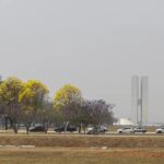 Preço da gasolina e diesel em Brasília (DF): veja os valores médios