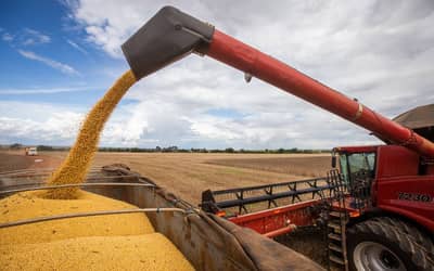 Produção de grãos e fibras no país deve cair 3,4 milhões de toneladas