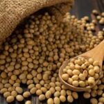 Soja e trigo: confira as cotações de preço para esta quarta-feira (11)