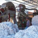 Transnordestina reduzirá custos e abrirá novos mercados para produtores do Cariri