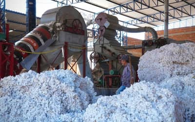 Transnordestina reduzirá custos e abrirá novos mercados para produtores do Cariri