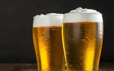 Brasil chega ao maior número de cervejarias da série histórica em 2025 (ano de referência)