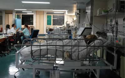 SRAG continua a afetar todas as faixas etárias no Brasil (28)