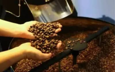 Café e açúcar registram alterações no mercado de São Paulo (10/06)