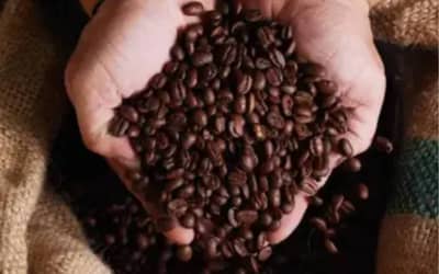 Café arábica e açúcar cristal apresentam alta no mercado paulista (24)