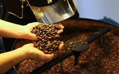 Preços do Café Arábica e Robusta Abrem Quarta-feira em Baixa e Alta Respectivamente (3/06)
