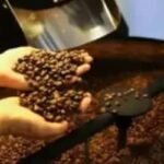 Café arábica e robusta apresentam variações de preço na quinta-feira (11)