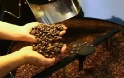 Café arábica e robusta apresentam variações de preço na quinta-feira (11)