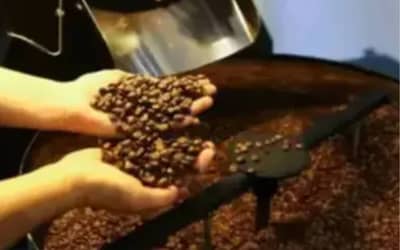 Café Arábica e Robusta em Alta, Açúcar Cristal e Milho em Baixa: Cotações do Cepea (12/06/2026)