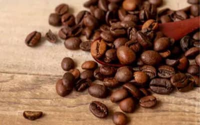 Café, Açúcar e Milho registram variações no mercado paulista (19/06)
