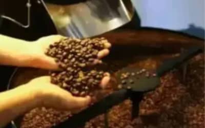 Café e Açúcar Registraram Altas em São Paulo, Milho Sente Efeito da Seca