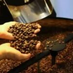 Café hoje: confira cotações para esta terça-feira (9)