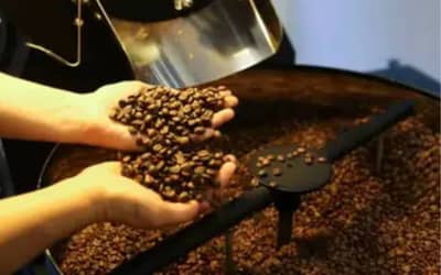 Café, Açúcar e Milho Registraram Mudanças de Preço em São Paulo (9)