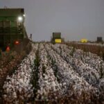 Câmara aprova projeto que reformula política agrícola e Prêmio do Seguro Rural