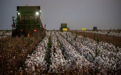 Câmara aprova projeto que reformula política agrícola e Prêmio do Seguro Rural