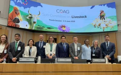 Pecuária de corte brasileira pode reduzir emissões de gases de efeito estufa até 2050