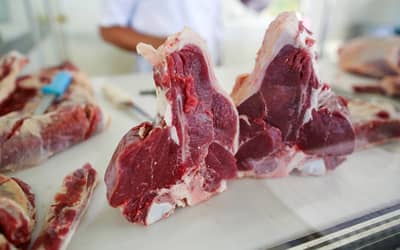 Federação da Agricultura do Estado do Paraná denuncia veto da União Europeia à compra de proteínas brasileiras