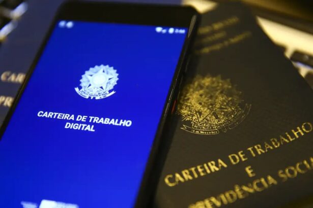 Micro e Pequenas Empresas são responsáveis por 77,9% do saldo de empregos no Brasil (desde 2023)