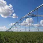 Câmara aprova reforma da política agrícola para revitalizar seguro rural (BRASIL, DIA 10)