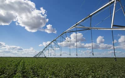 Câmara aprova reforma da política agrícola para revitalizar seguro rural (BRASIL, DIA 10)
