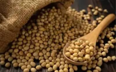 Soja e Trigo registram valorização em mercado de grãos do Paraná e Rio Grande do Sul (09/06/2026)