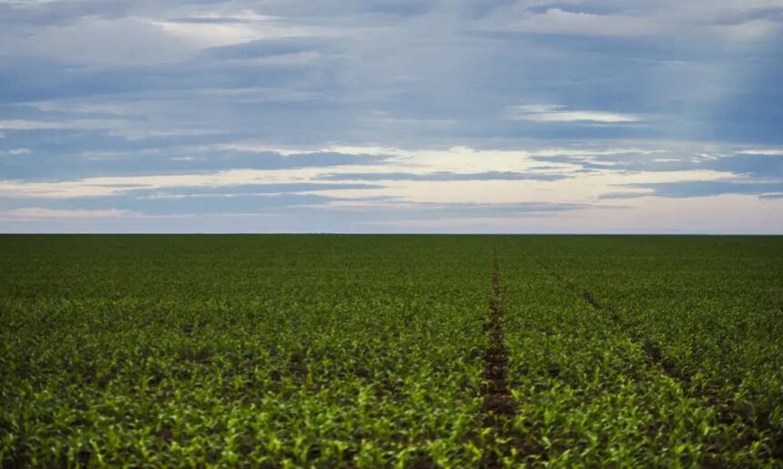 Projeto de Lei 2951/24: Uma Vez Mais, Senado Federal, Para Ampliar a Proteção aos Produtores Rurais (Aguarda Análise)