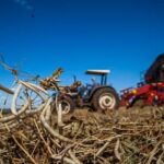 Governo Federal Libera Renegociação de Dívidas de Produtores Rurais (15/06)