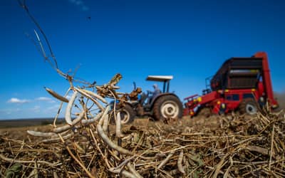 Governo Federal Libera Renegociação de Dívidas de Produtores Rurais (15/06)