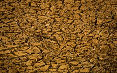 Governo Federal apresenta contraproposta para renegociação de dívidas rurais, mas FPA não está satisfeito
