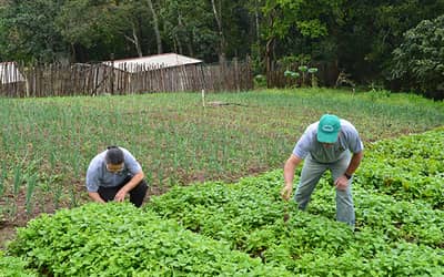 Agricultores Familiares da Amazônia Legal Podem Aderir ao Desenrola Rural (até 20 de dezembro de 2026)