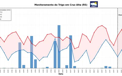 Alerta Fitossanitário: Chuvas Altemas Ameaçam Safra de Trigo na Região Sul (próximos dias)