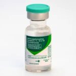 Ministério da Saúde prorroga vacinação contra o HPV para jovens de 15 a 19 anos até 31 de dezembro de 2026