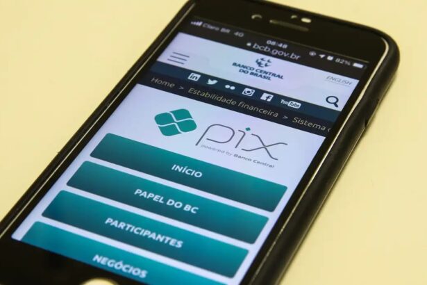 Senado aprova projeto que cria mecanismo de pagamento automático da pensão alimentícia por Pix (terça-feira, 04 de julho de 2023)