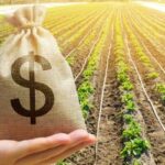 Agro inicia safra 2026/27 com R$ 580,78 bilhões em CPRs