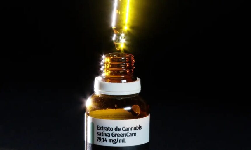 Anvisa aprova 116 mil importações de cannabis medicinal, sinalizando mudança no tratamento de doenças crônicas