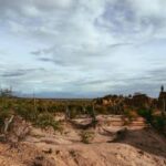 Brasil se reúne em Mongólia para discutir combate à desertificação (17/08)