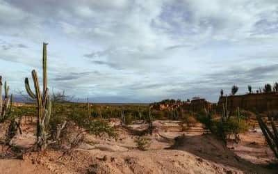 Brasil se reúne em Mongólia para discutir combate à desertificação (17/08)