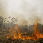 Incêndios Florestais e El Niño: Alerta para o Segundo Semestre (12/08)