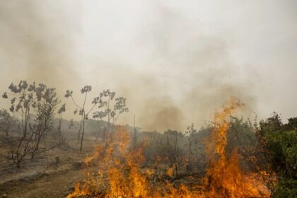 Incêndios Florestais e El Niño: Alerta para o Segundo Semestre (12/08)