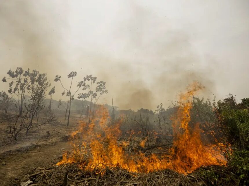 Incêndios Florestais e El Niño: Alerta para o Segundo Semestre (12/08)