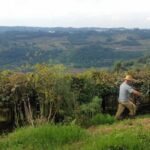 Declaração do Imposto sobre a Propriedade Territorial Rural (DITR) de 2026: O que mudou e como fazer
