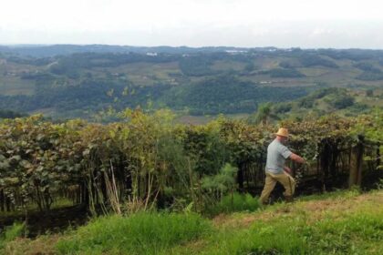 Declaração do Imposto sobre a Propriedade Territorial Rural (DITR) de 2026: O que mudou e como fazer