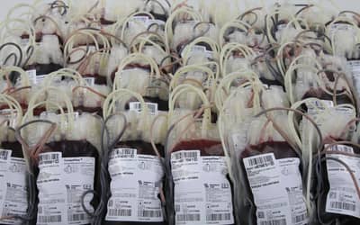 Ministério da Saúde amplia perfil de pessoas que podem doar sangue: saiba as novas regras (a partir de 30 de setembro)